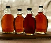 Homemade Maple Syrup – part 2: Tapping Trees & Cooking Sap
